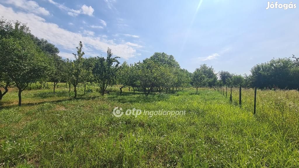 Eladó 1000 nm-es telek Dömsöd