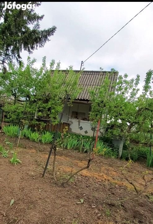 Eladó 10 nm-es Felújítandó Hétvégi ház Dunaújváros