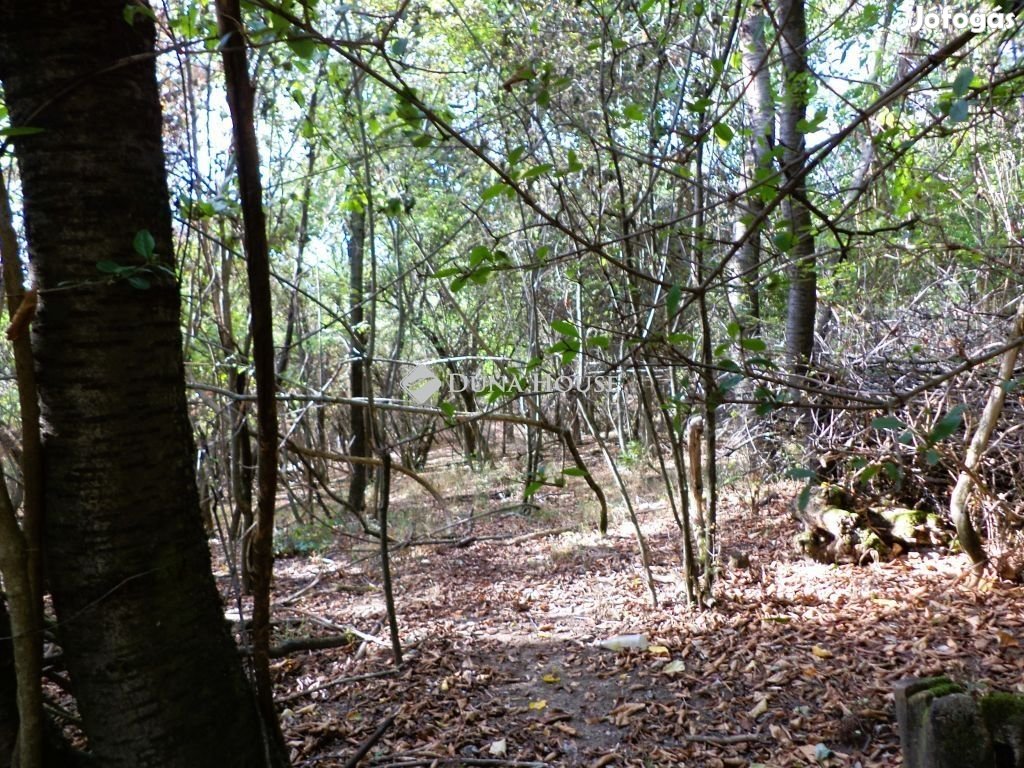 Eladó 1139 nm-es telek Sukoró