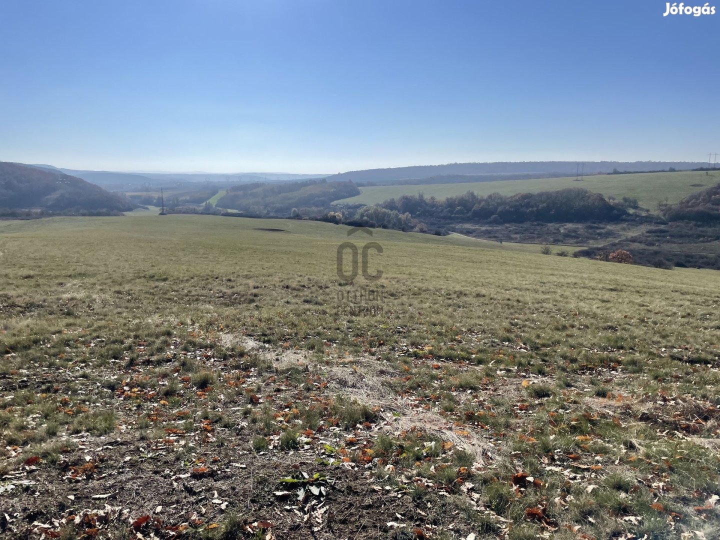 Eladó 15 hektáros legelő Kosd, Pest vármegye!