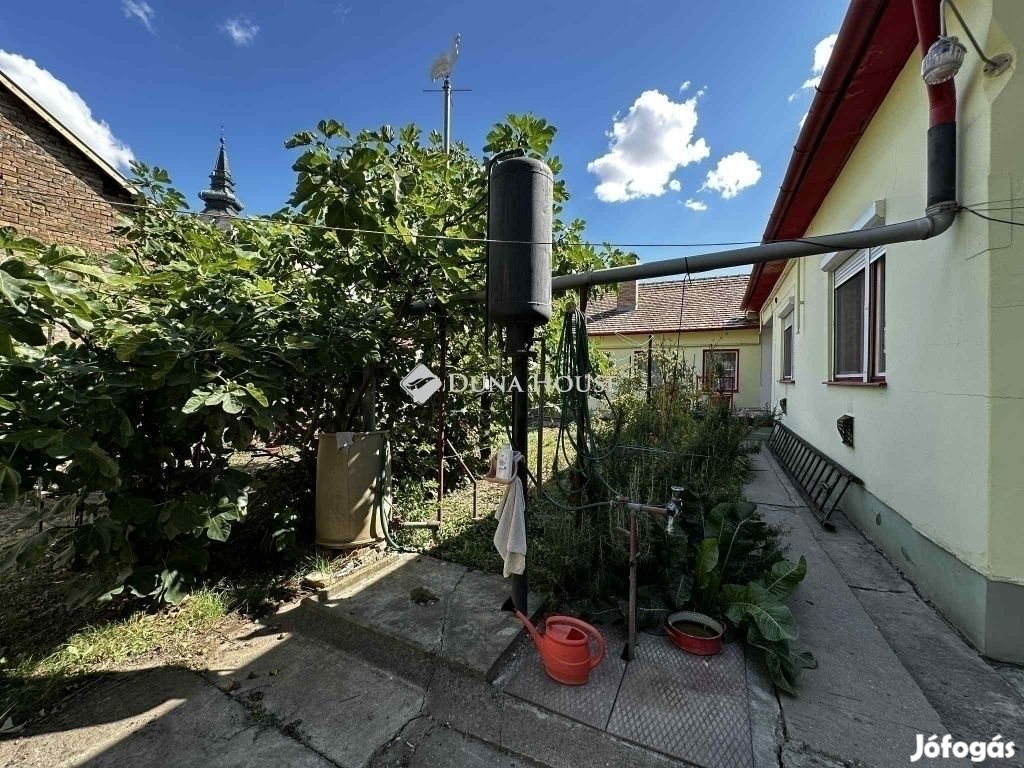 Eladó 173 nm-es ház Hódmezővásárhely