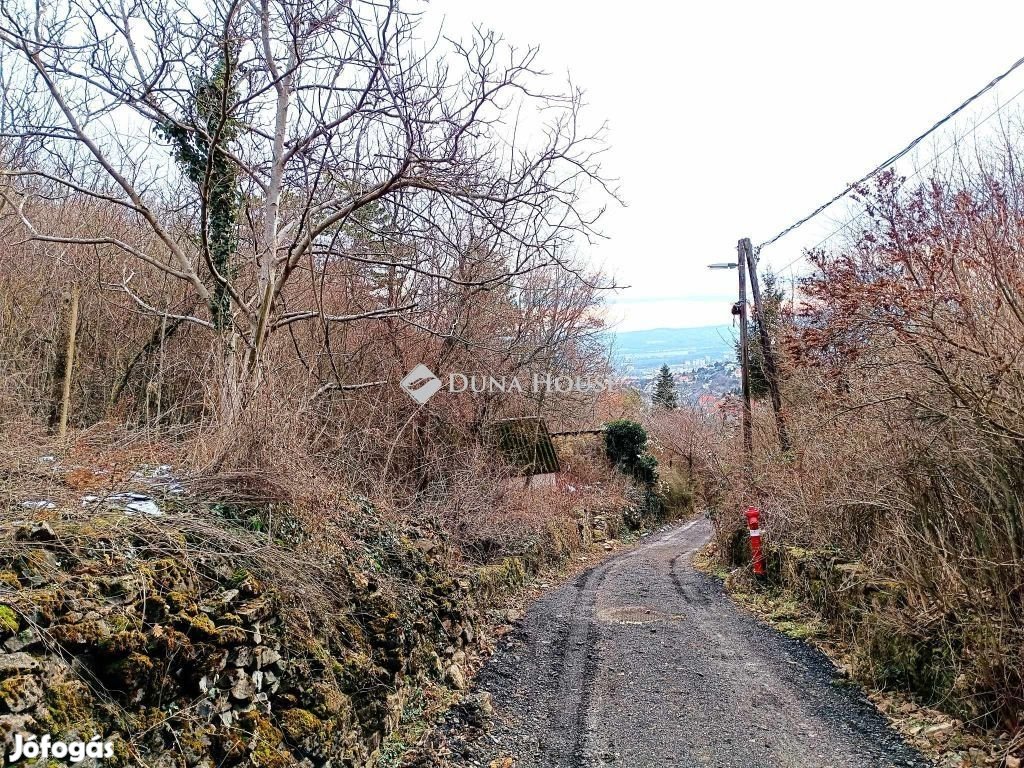 Eladó 1901 nm-es telek Pécs