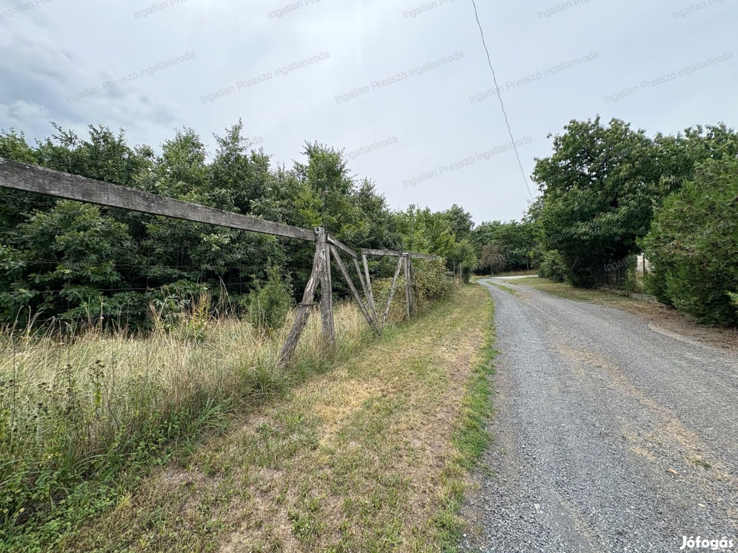 Eladó 1,62 hektár erdő részt Uzsa kül és belterület határán!