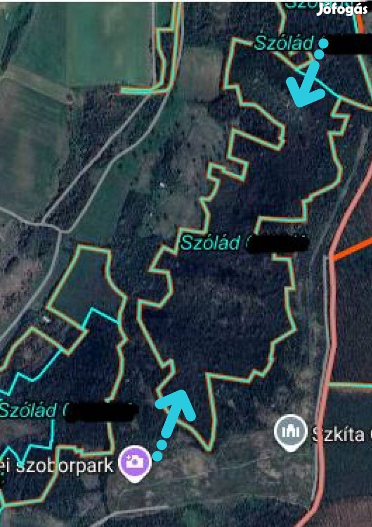 Eladó 20 hektáros akácerdő Szóládon, balatoni panorámával!