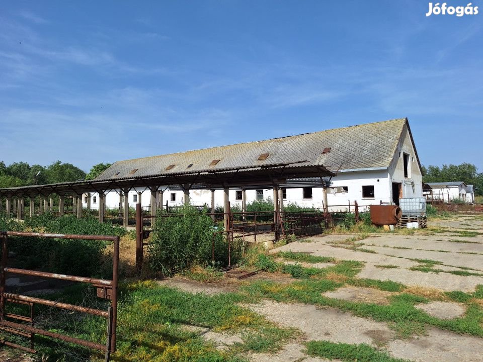 Eladó 2500 nm-es Istálló Hódmezővásárhely