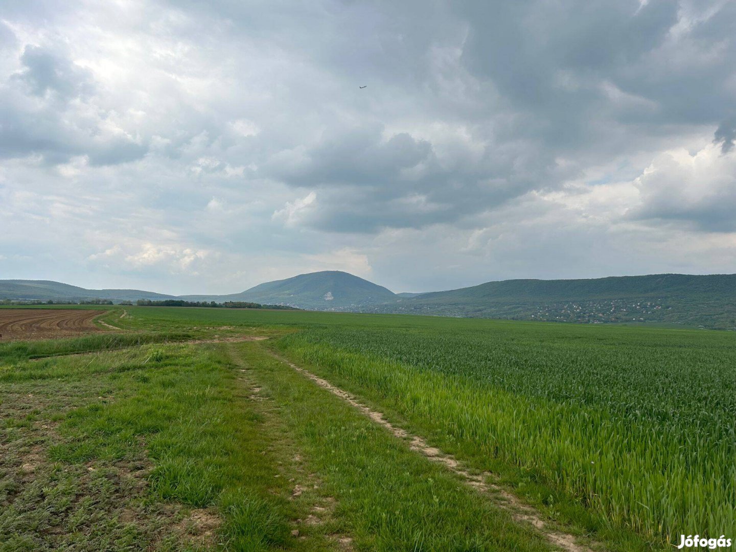 Elado 2600nm telek Pilisvorosvar panorama