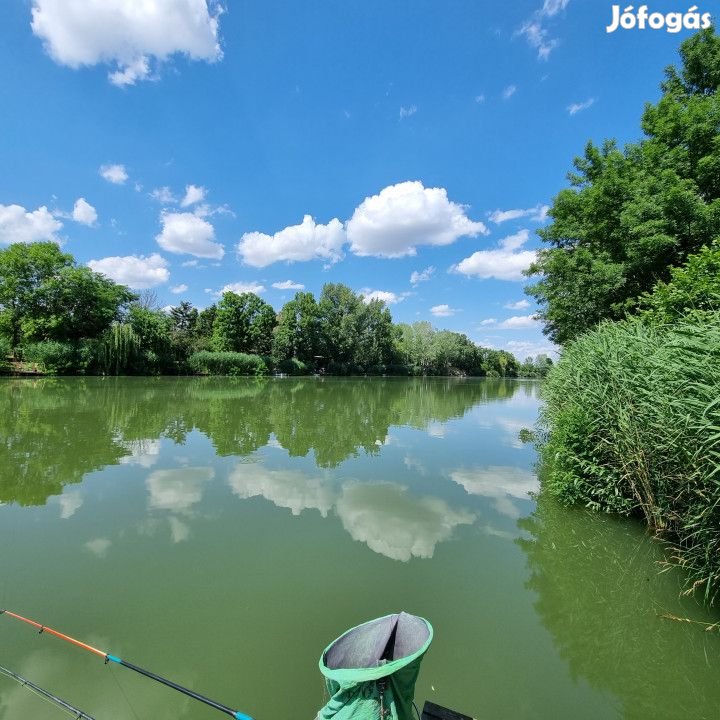 Eladó 28 nm-es Hétvégi ház Gyomaendrőd