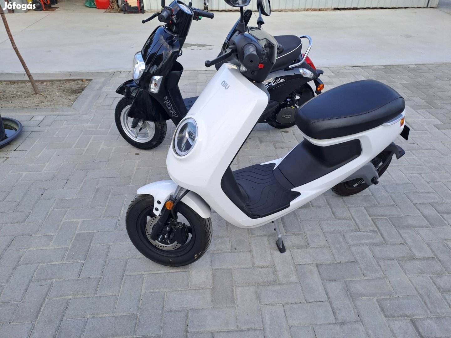 Eladó 2db  elektromos robogó Niu m1 pro,és egy tomos e-lite  elektrom