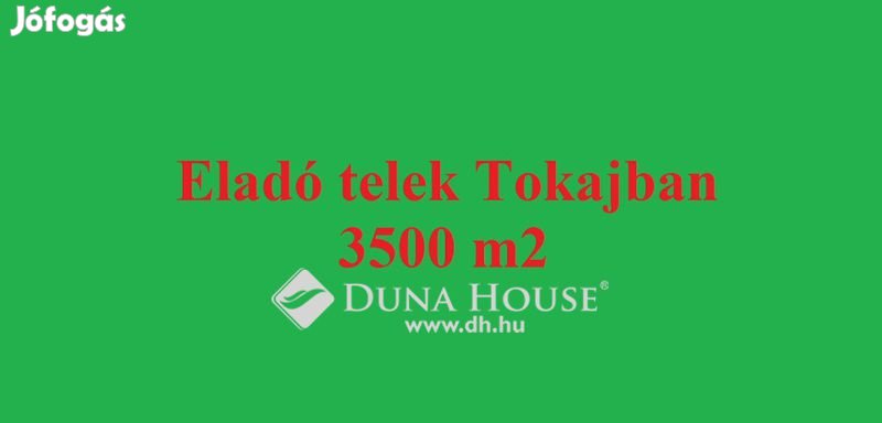 Eladó 3501 nm-es telek Tokaj