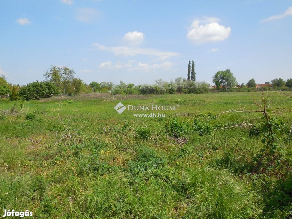Eladó 35733 nm-es telek Monor