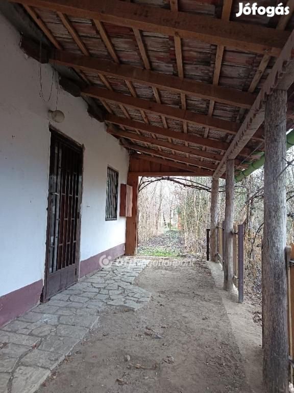 Eladó 42 nm-es ház Sáránd