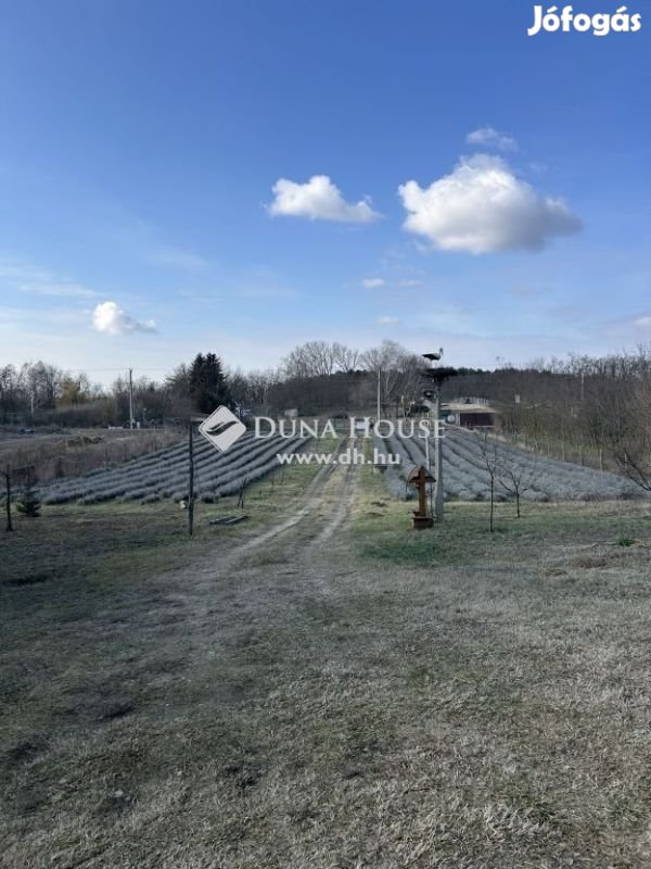 Eladó 5635 nm-es telek Nyírtura
