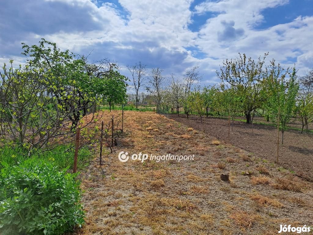 Eladó 60 nm-es ház Makó