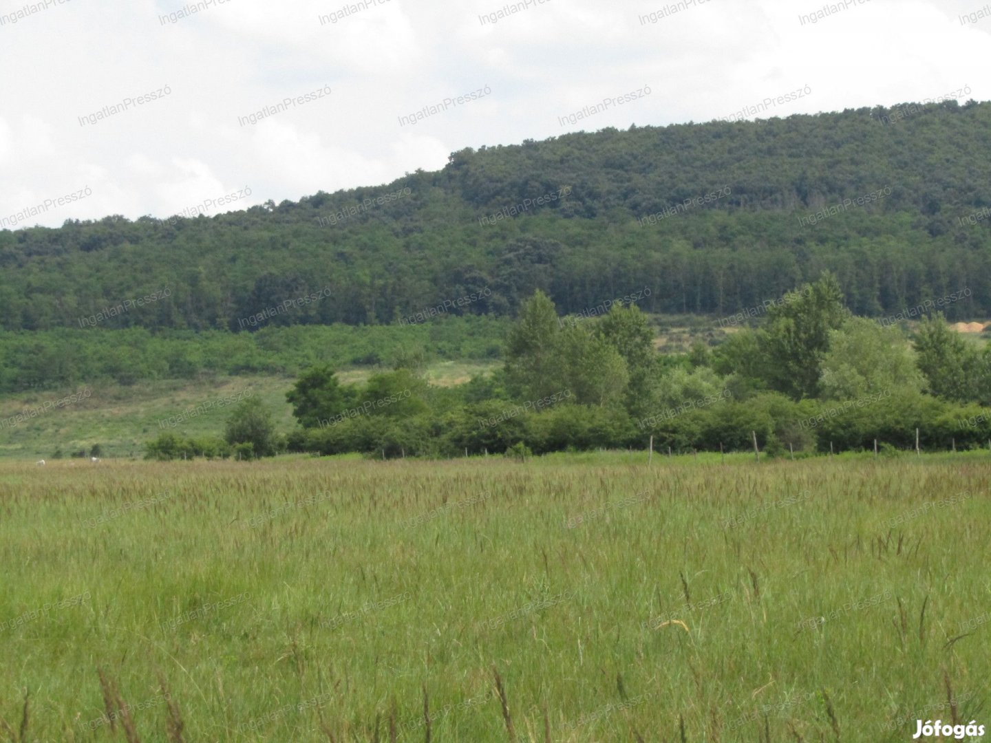 Eladó 6559 m2 rét besorolású patak parti külterületi telek