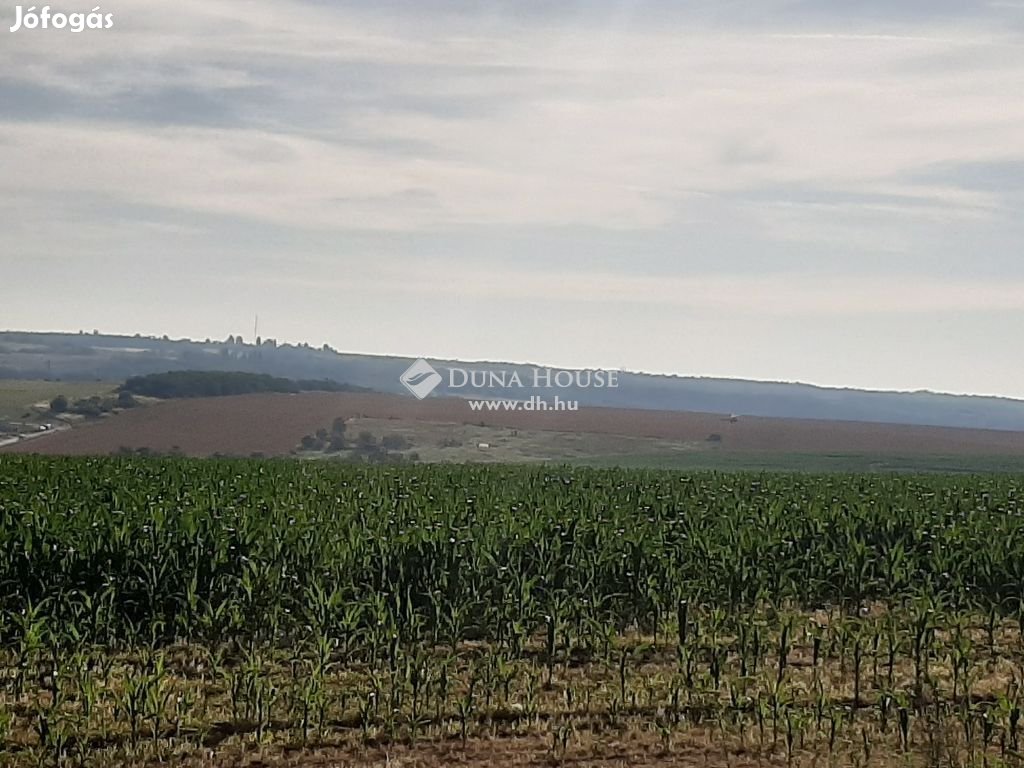 Eladó 9101 nm-es telek Pécel