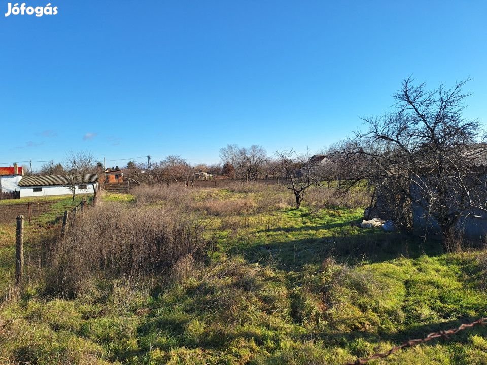 Eladó 935 nm-es Zártkert Hódmezővásárhely Áfonyautca