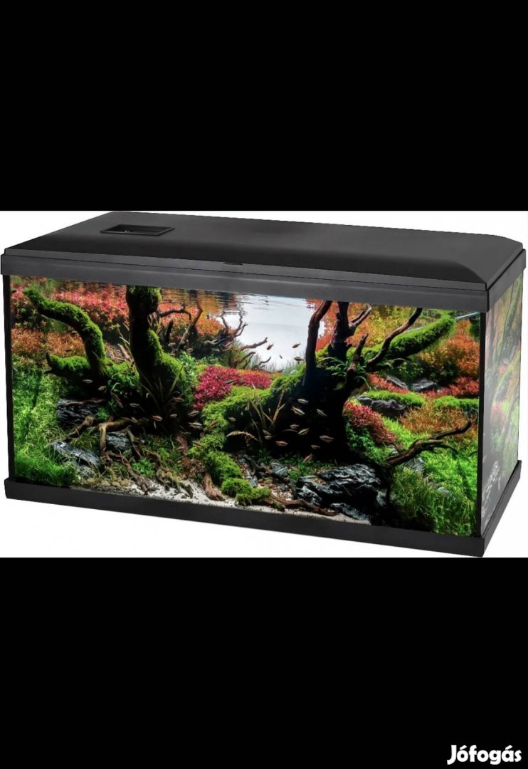 Eladó Akvarium