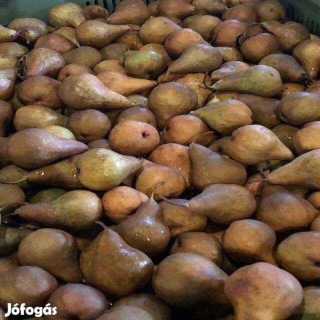 Eladó Bosc Kobak, Packhams Triumph körte