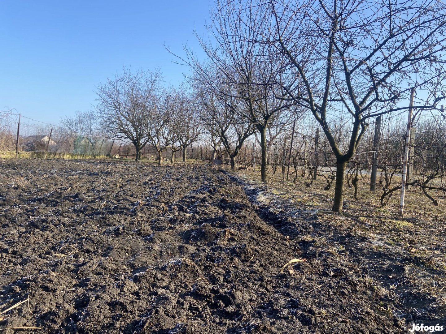 Eladó ÉPÍTÉSI TELEK Sajópetri központjában BOMBA ÁRON!