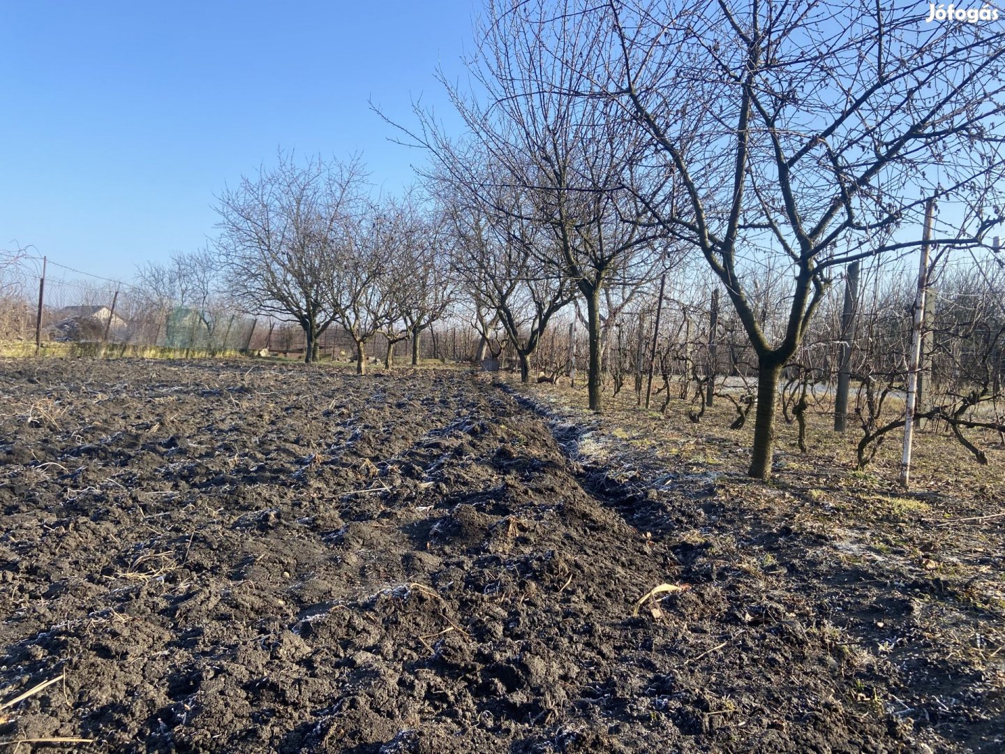 Eladó ÉPÍTÉSI TELEK Sajópetri központjában BOMBA ÁRON!