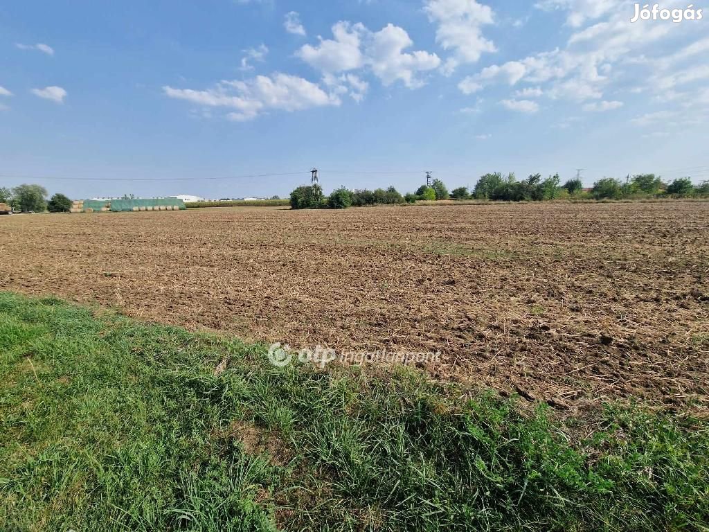 Eladó Fejlesztési terület, Felsőzsolca