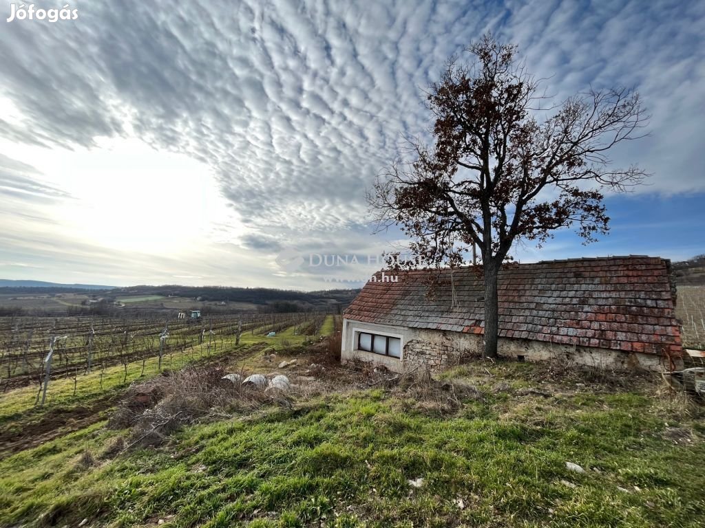 Eladó Ház, Balatonszőlős