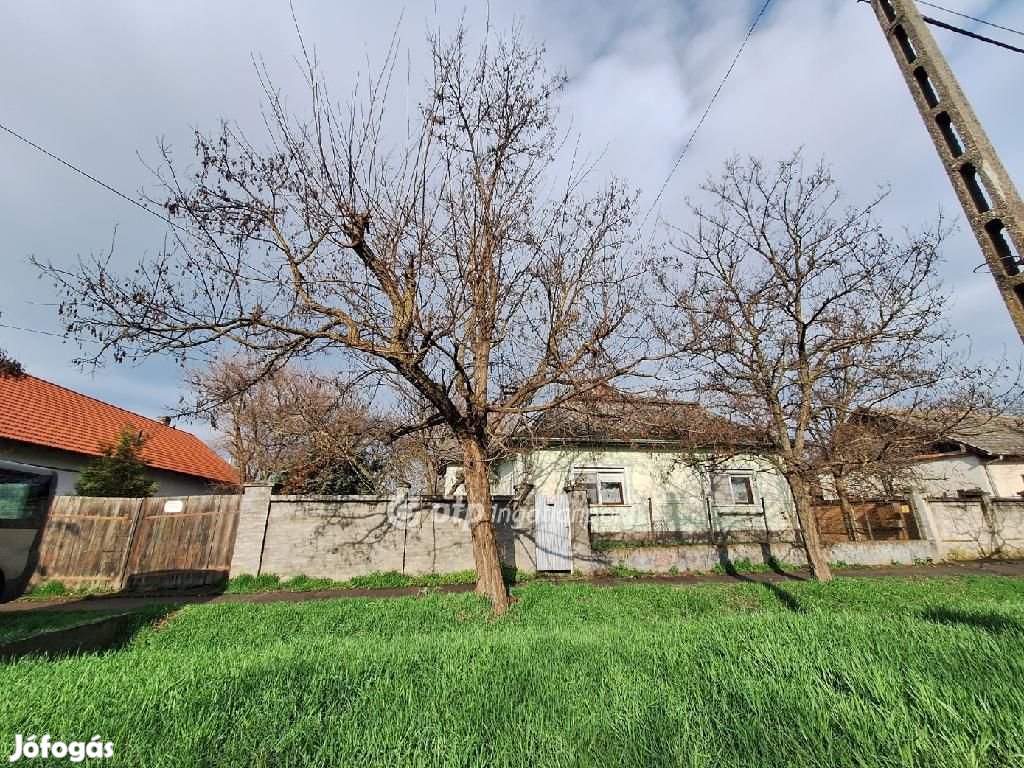 Eladó Ház, Füzesgyarmat