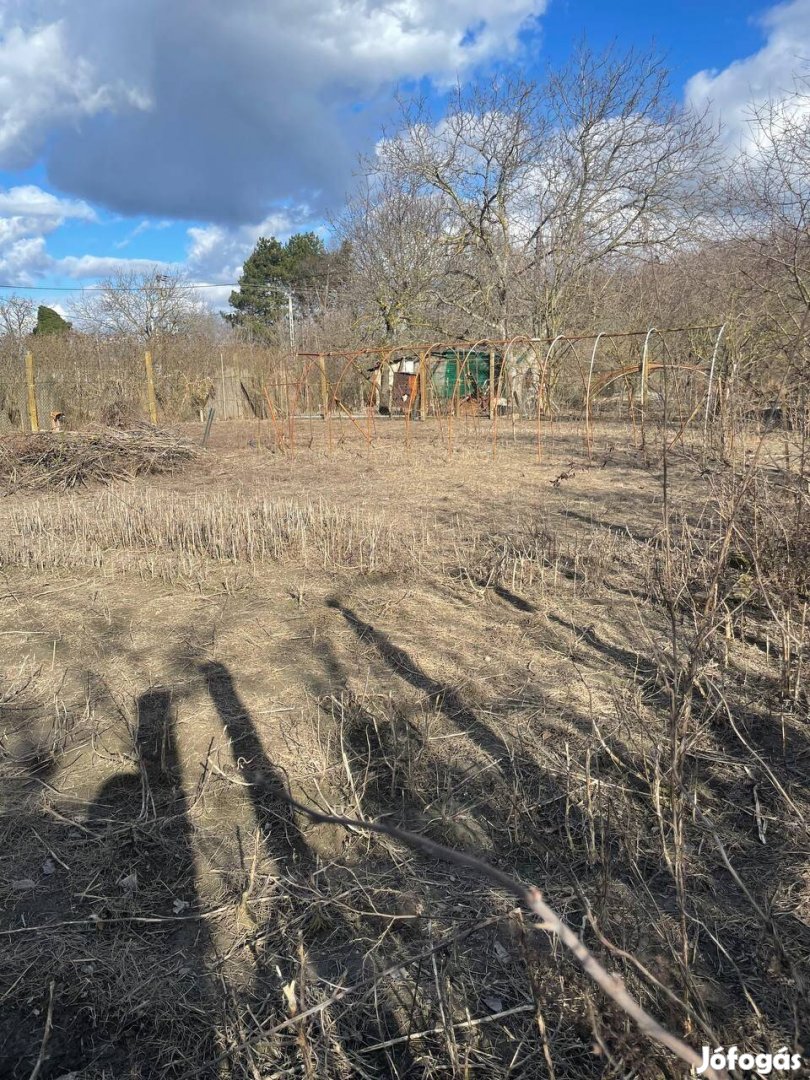 Eladó Hobbi Telek Kalocsán Kővágó köz