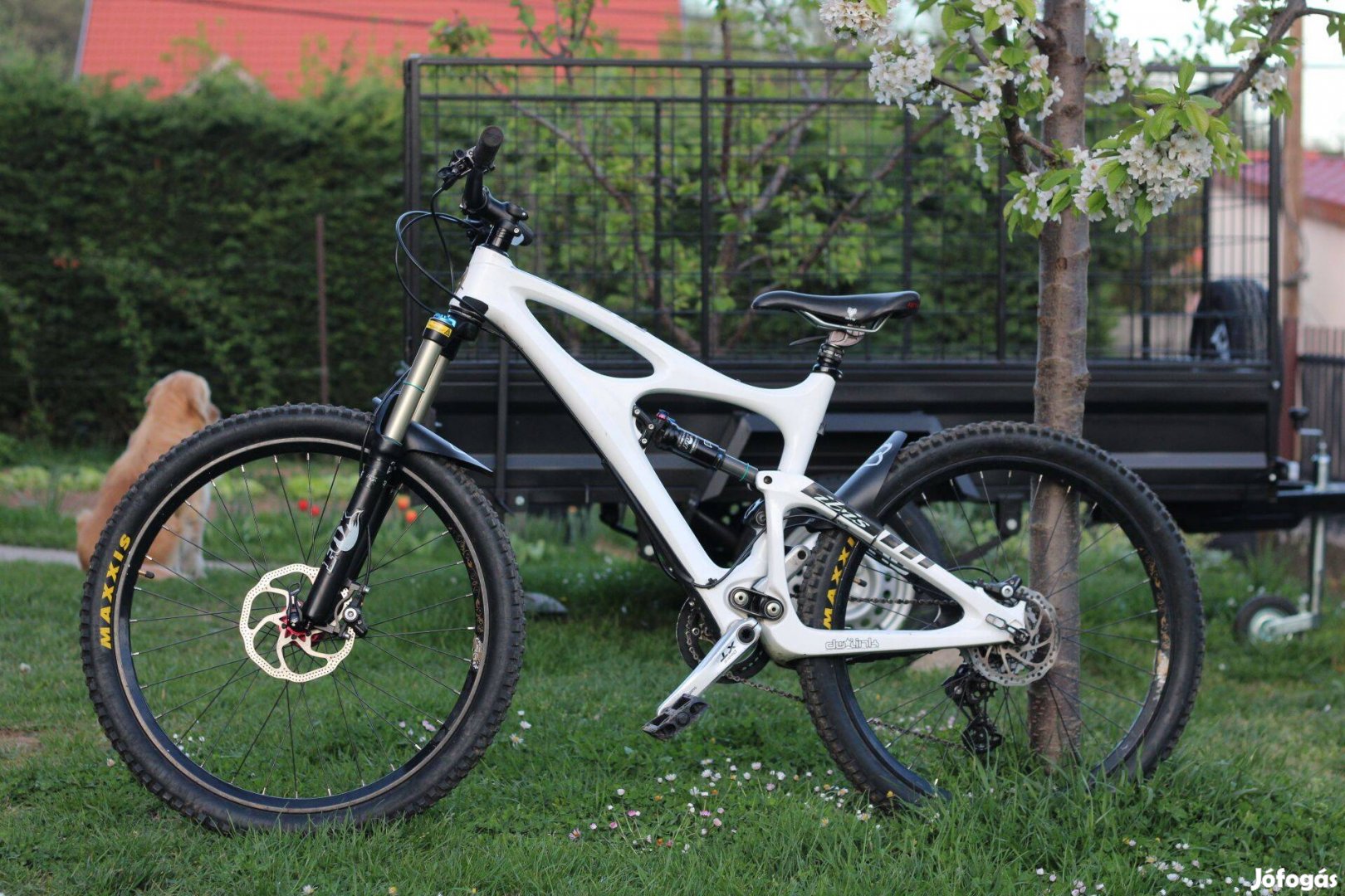 Eladó Ibis Mojo HD carbon bringa
