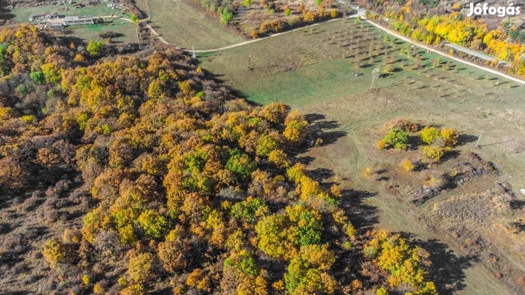 Eladó Ipari, Szentkirályszabadja 500.000.000 Ft