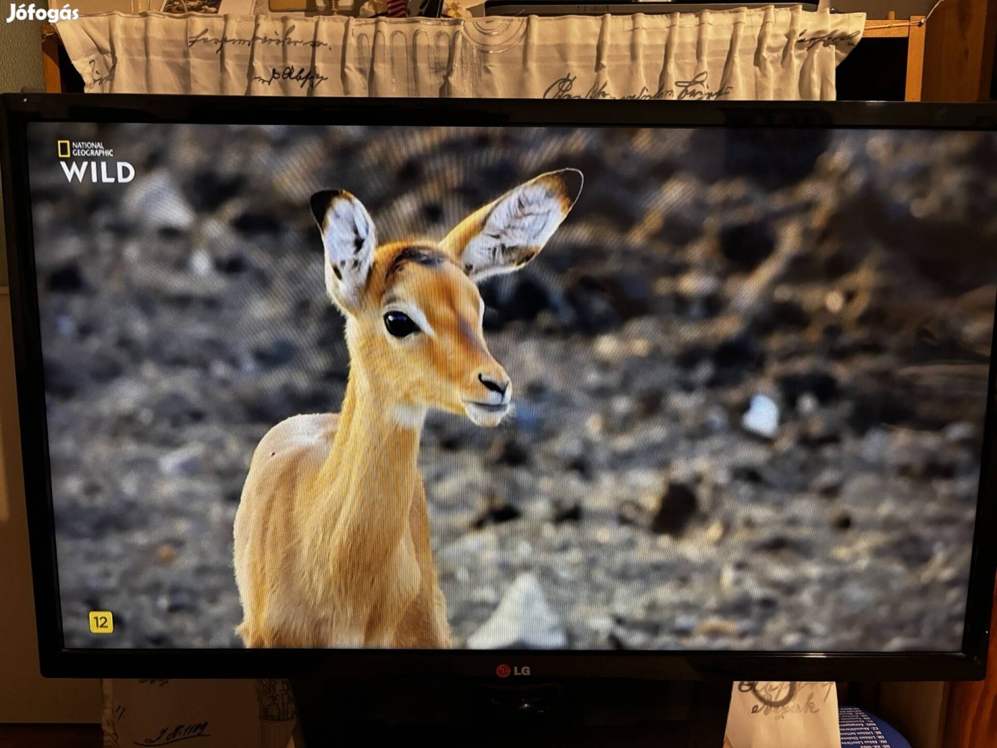 Eladó LG led televízió