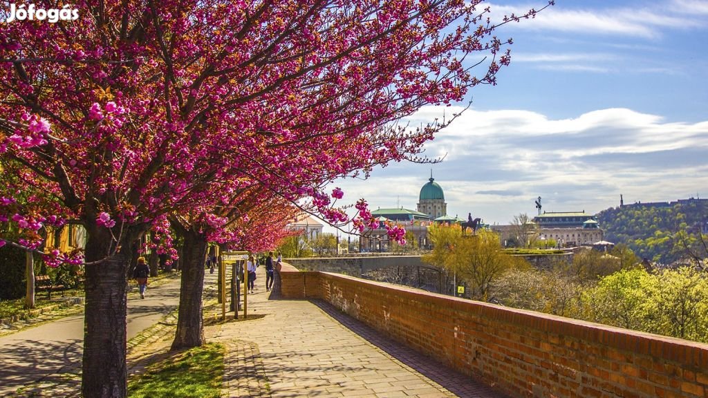 Eladó Lakás, Budapest 1. ker.