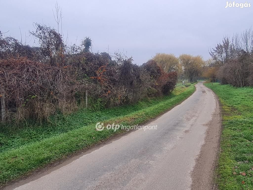 Eladó Mezőgazdasági, Balatonszárszó