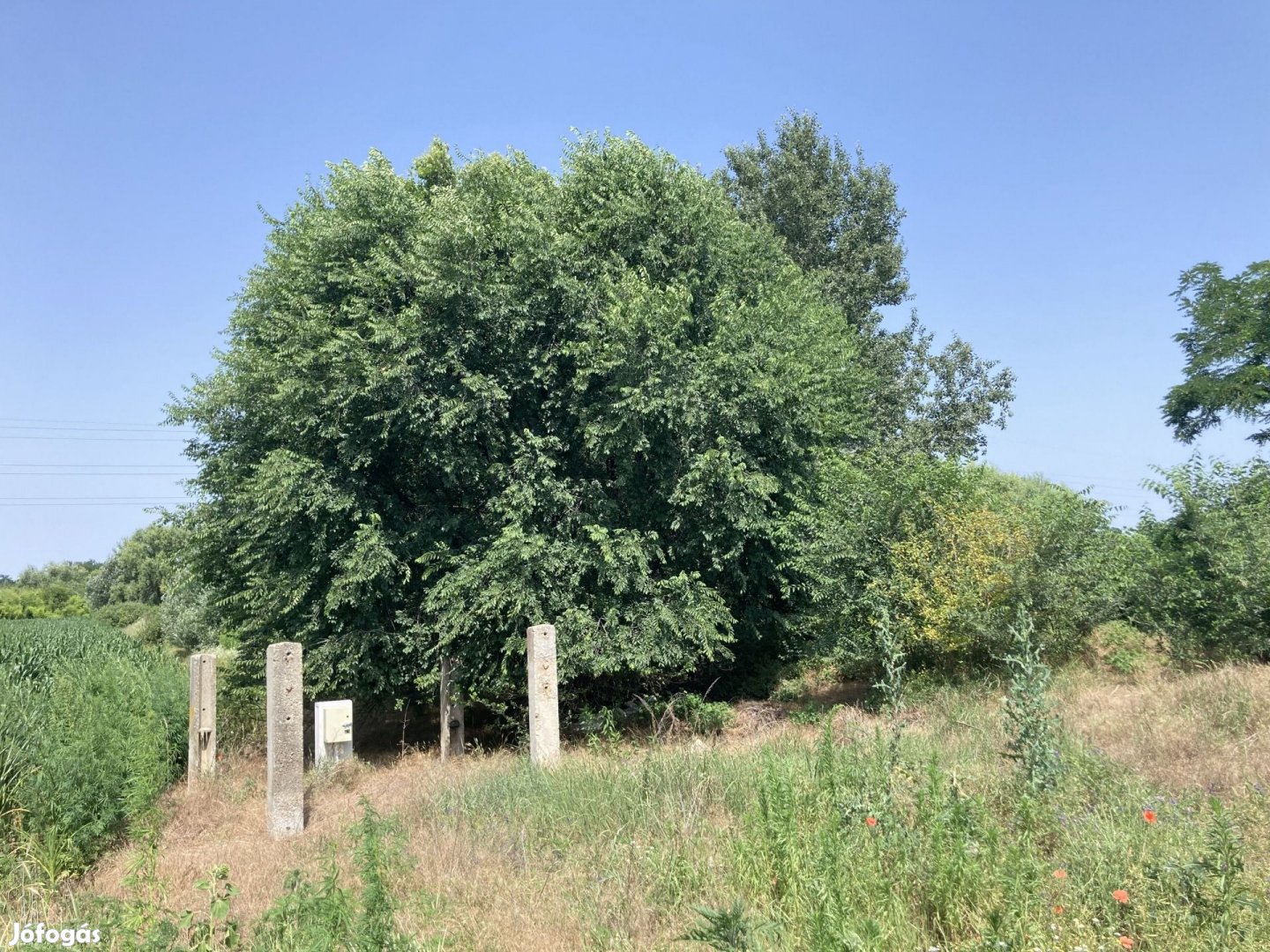 Eladó Mezőgazdasági, Debrecen 4.900.000 Ft