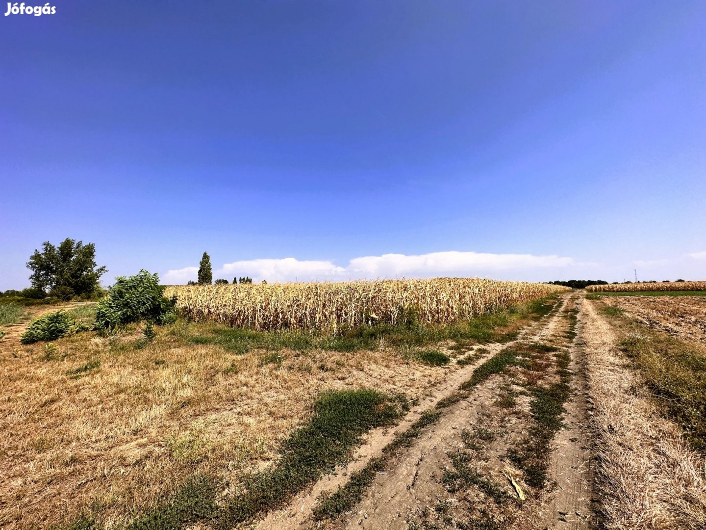 Eladó Mezőgazdasági, Doboz 2.900.000 Ft