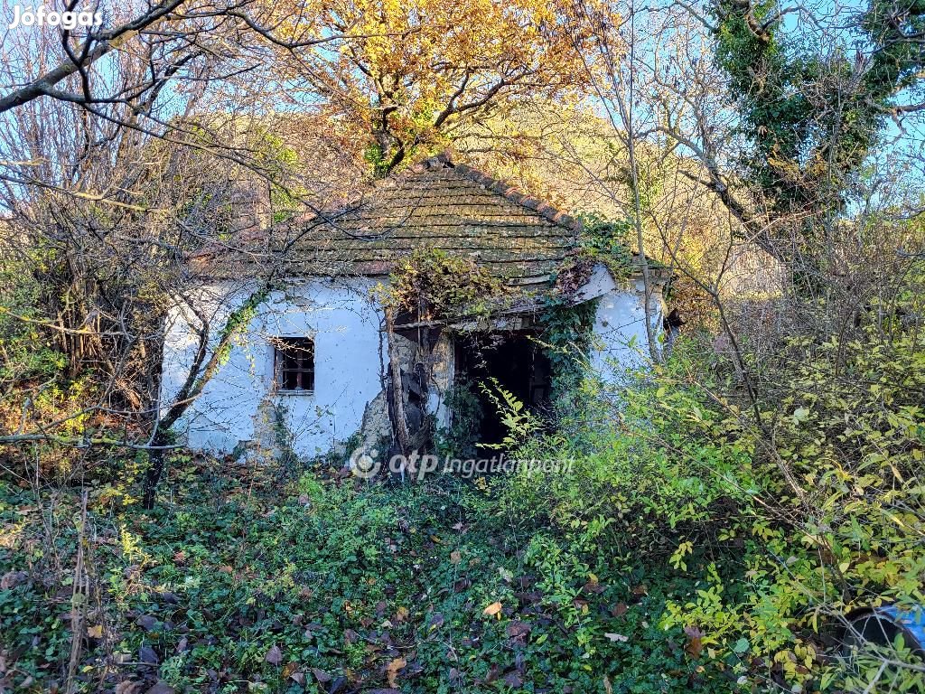 Eladó Mezőgazdasági, Gyulakeszi
