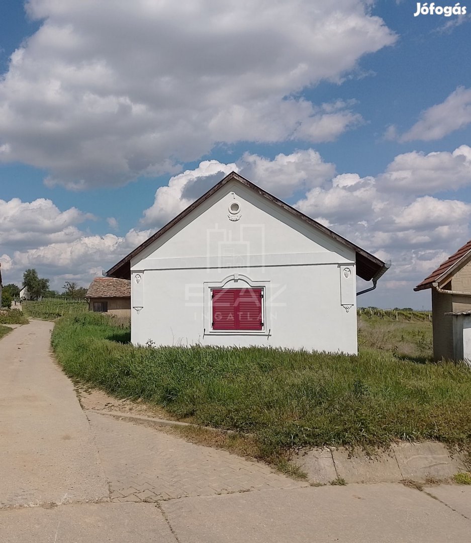 Eladó Mezőgazdasági, Villány 13.000.000 Ft