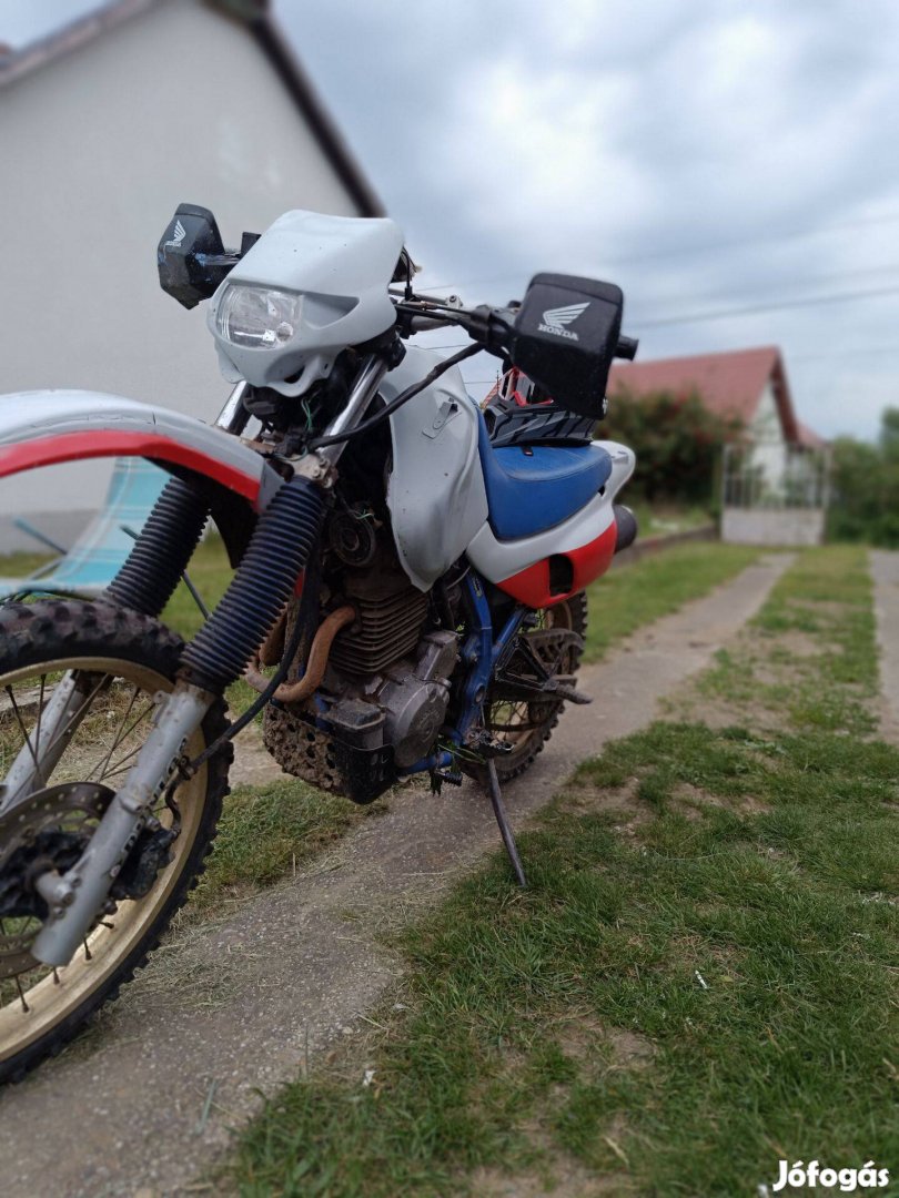 Eladó NX 650 Dominátor