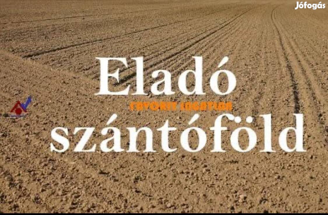 Eladó Szántóföld