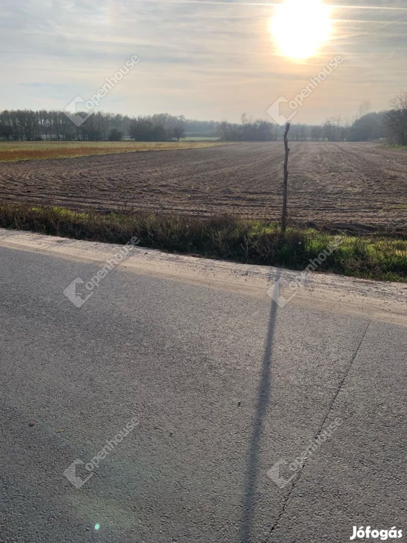 Eladó Szántóföld Vasad Külterületén!