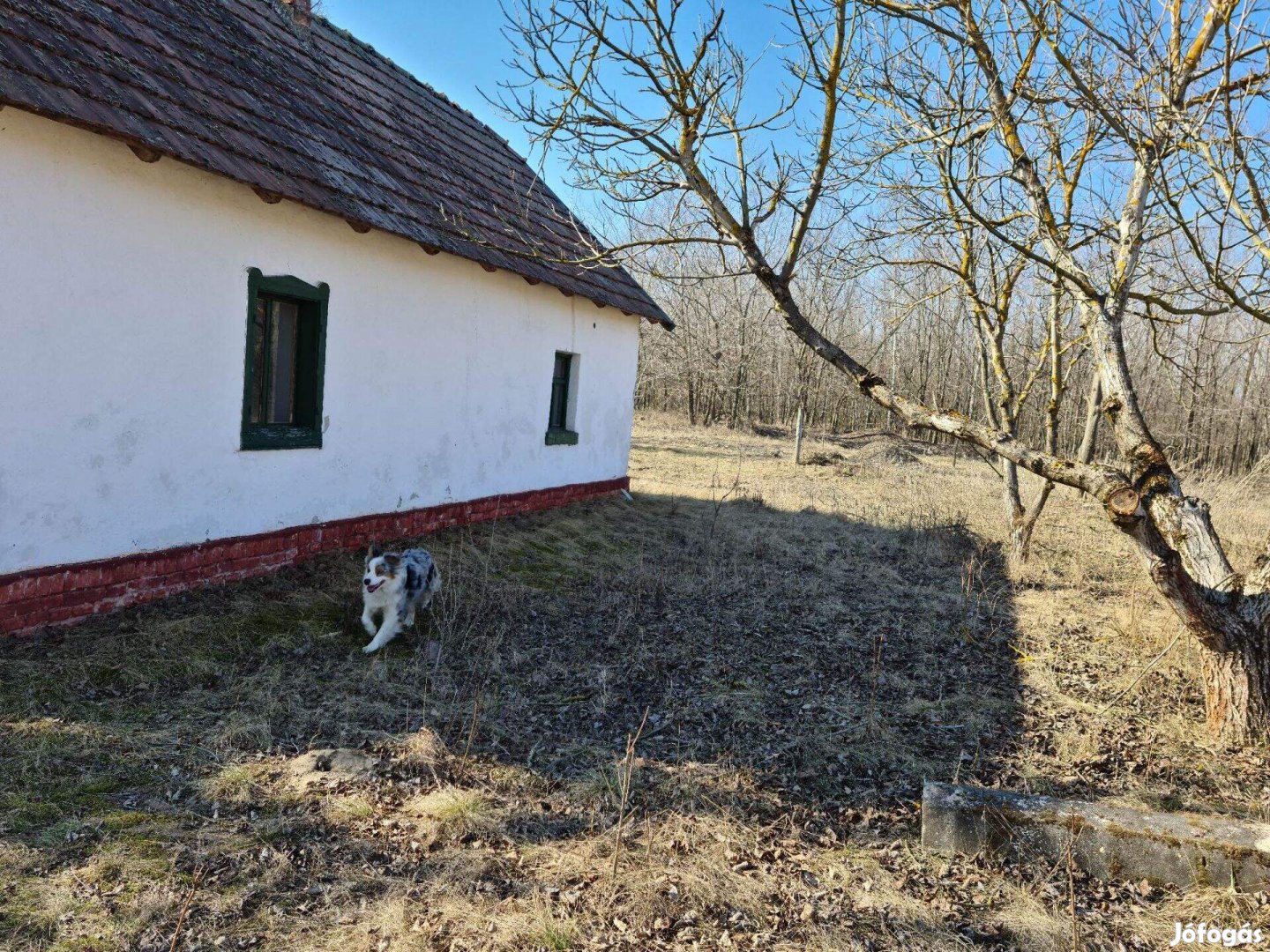 Eladó Tanya Ásotthalmon Idilli Erdős Környezetben