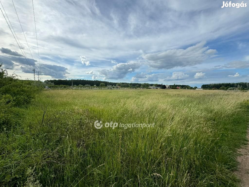 Eladó Telek, Abádszalók