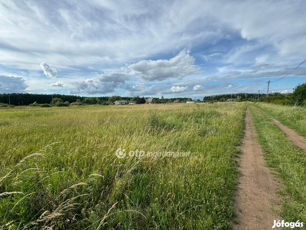 Eladó Telek, Abádszalók