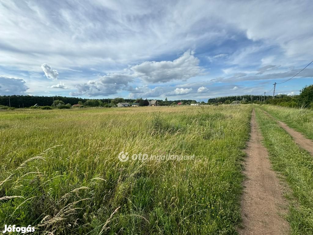 Eladó Telek, Abádszalók