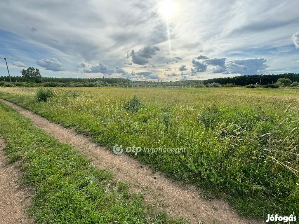 Eladó Telek, Abádszalók