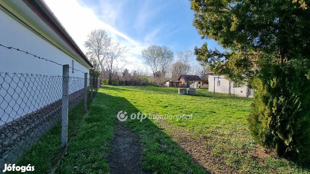 Eladó Telek, Albertirsa