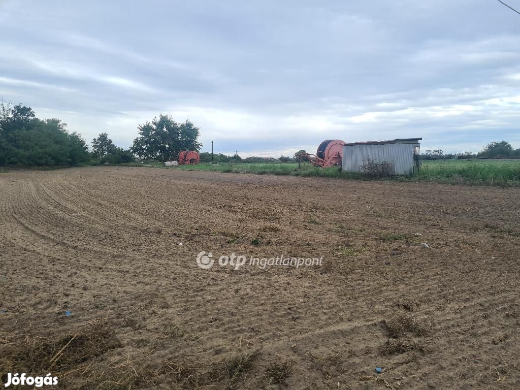 Eladó Telek, Alsónémedi