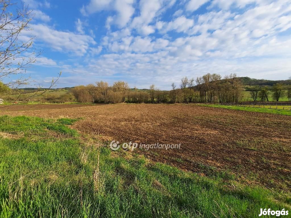 Eladó Telek, Bábonymegyer