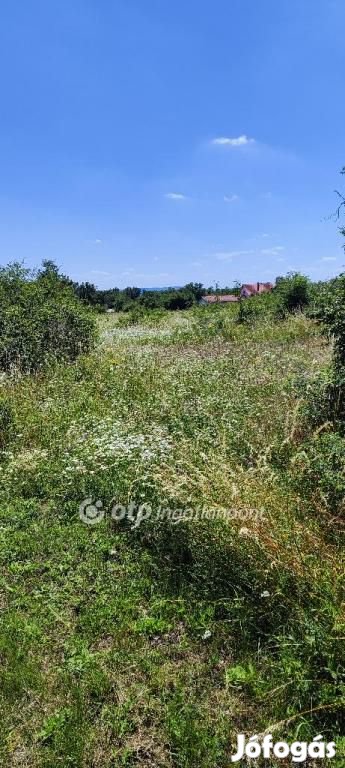 Eladó Telek, Balatonakali