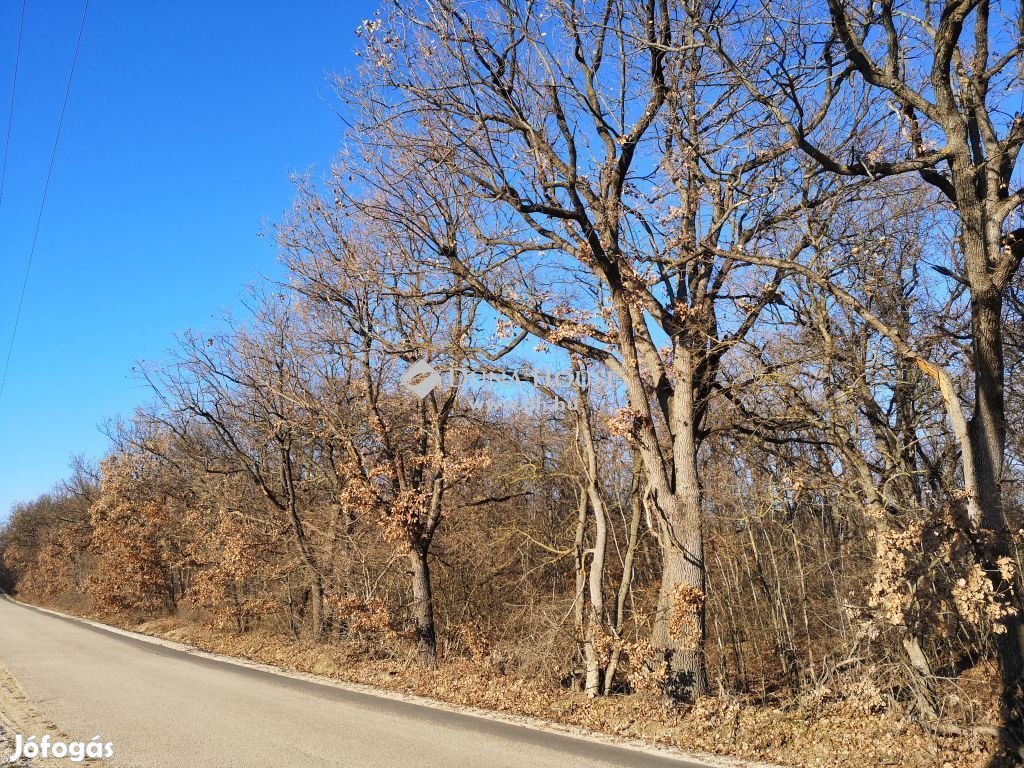 Eladó Telek, Balatonudvari